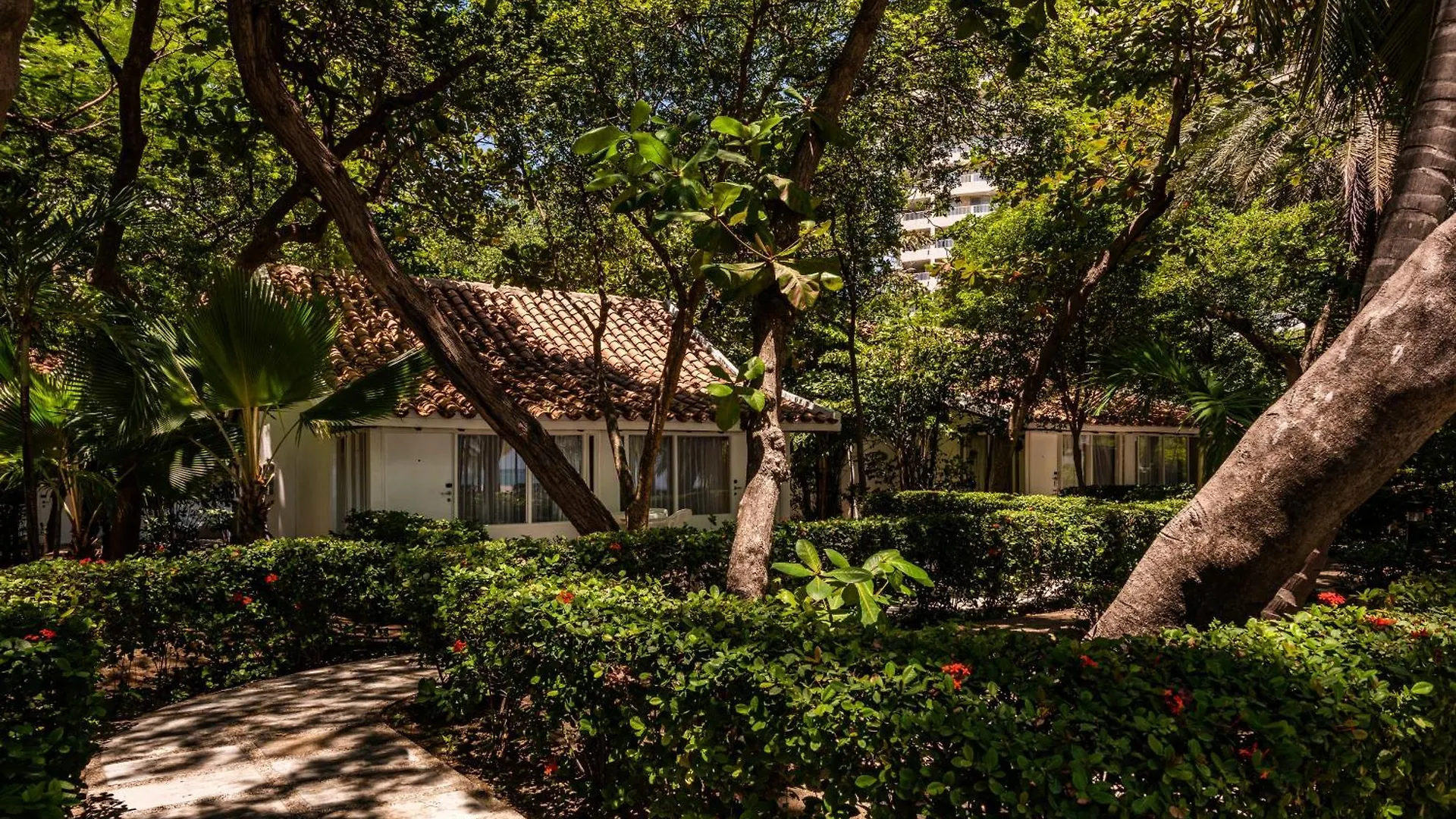 Hotel Irotama Bungalows & Bohios Santa Marta   Santa Marta (Magdalena)