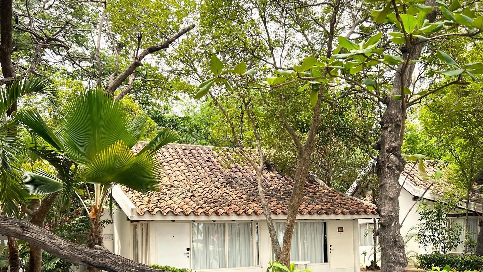 Hotel Irotama Bungalows & Bohios Santa Marta  Colombia